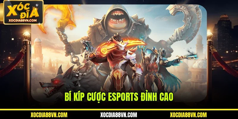 Bí kíp cược Esports đỉnh cao