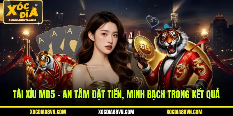 Tài Xỉu MD5 - An Tâm Đặt Tiền, Minh Bạch Trong Kết Quả